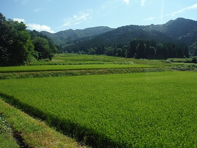 風景